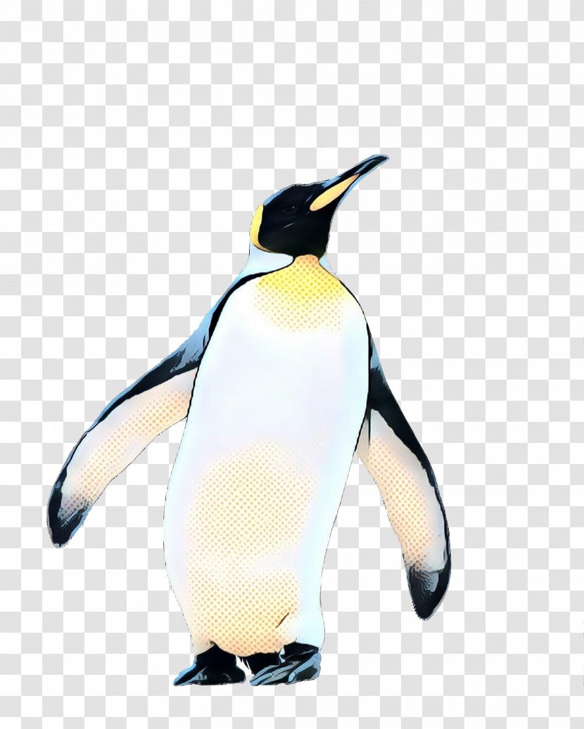 Penguin Stock Photography Royalty-free Image Stock.xchng - Vertebrate - Animal Transparent PNG