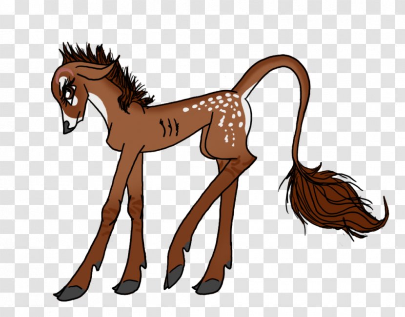 Mustang Foal Stallion Rein Halter - Pony Transparent PNG