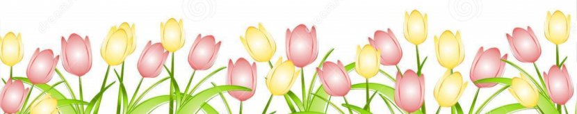 Indira Gandhi Memorial Tulip Garden Flower Clip Art - Grass - Spring Transparent Images Transparent PNG