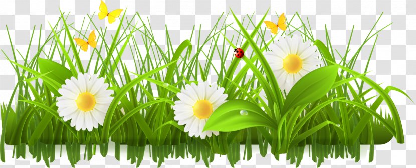 Spring Stock Photography Flower Clip Art - Royaltyfree - Green Flowers, Bushes Transparent PNG