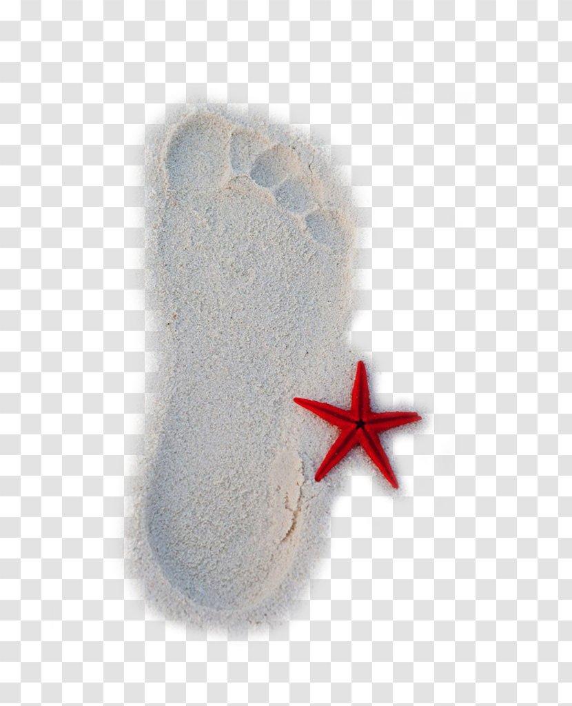 Playa De La Arena Beach Sand - Gratis - Starfish Footprints Transparent PNG