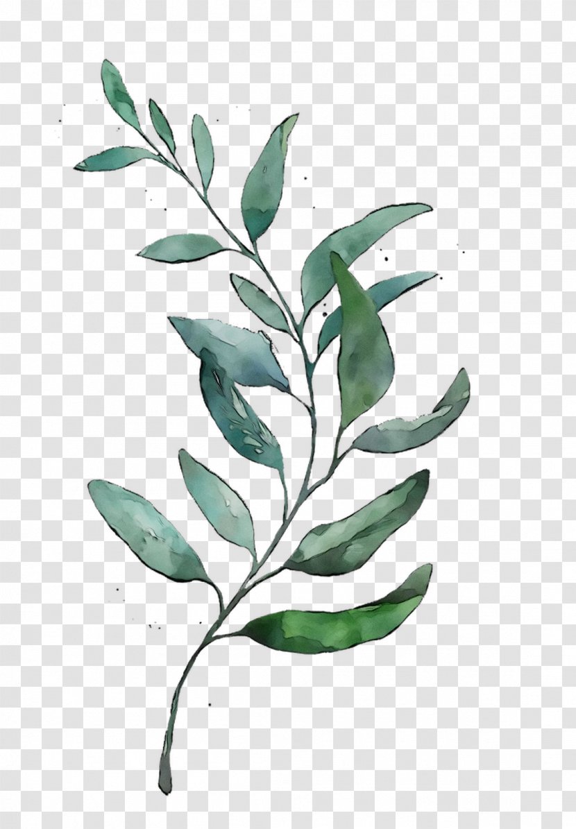 Watercolor Painting Drawing Image Art - Plant Transparent PNG