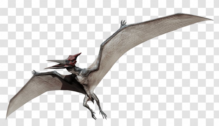 Jurassic Park Pteranodon Microceratus Mosasaurus Dimorphodon - Dinosaur Transparent PNG