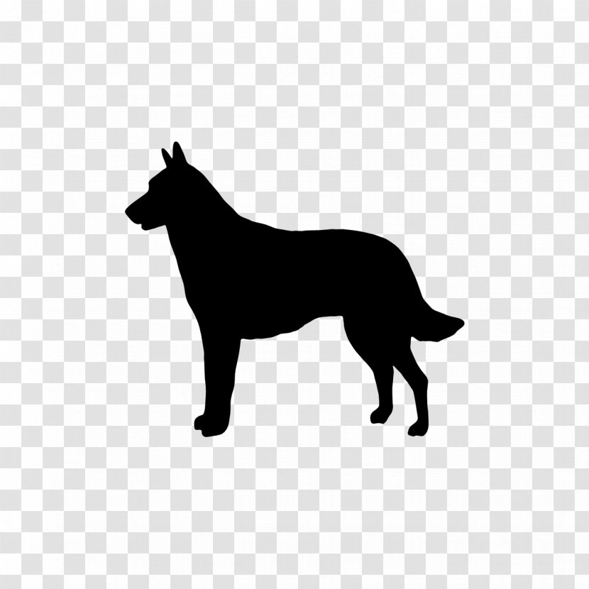 Malinois Dog Belgian Shepherd Tervuren German Laekenois - Police - Vehicles Vector Transparent PNG