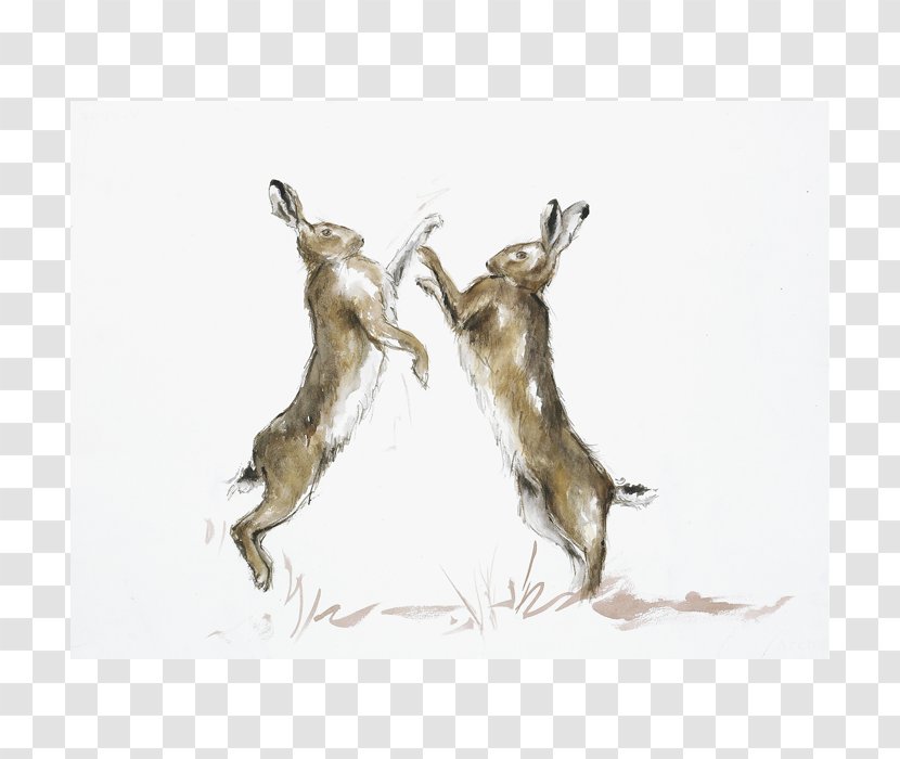 Hare Boxing Watercolor Painting Paper Punch Transparent PNG