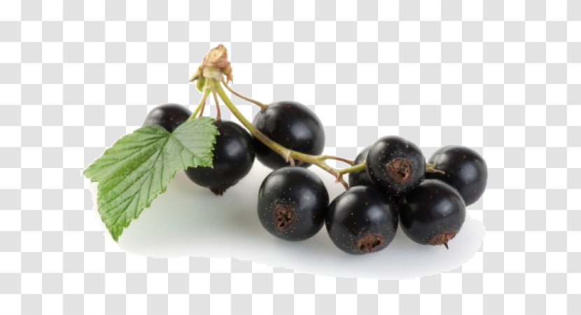 Java Plum Fruit - Superfood - Jamun File Transparent PNG