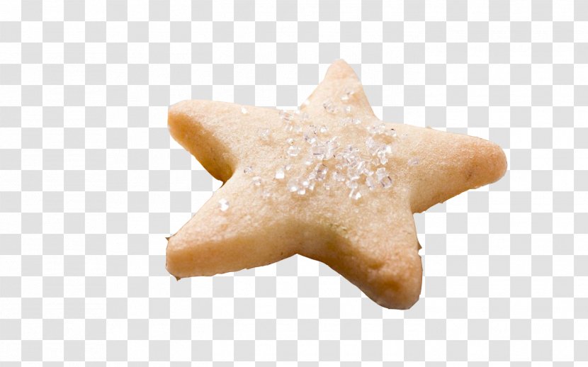 Cookie Starfish - Pentagram Spicy Shrimp Cakes Transparent PNG