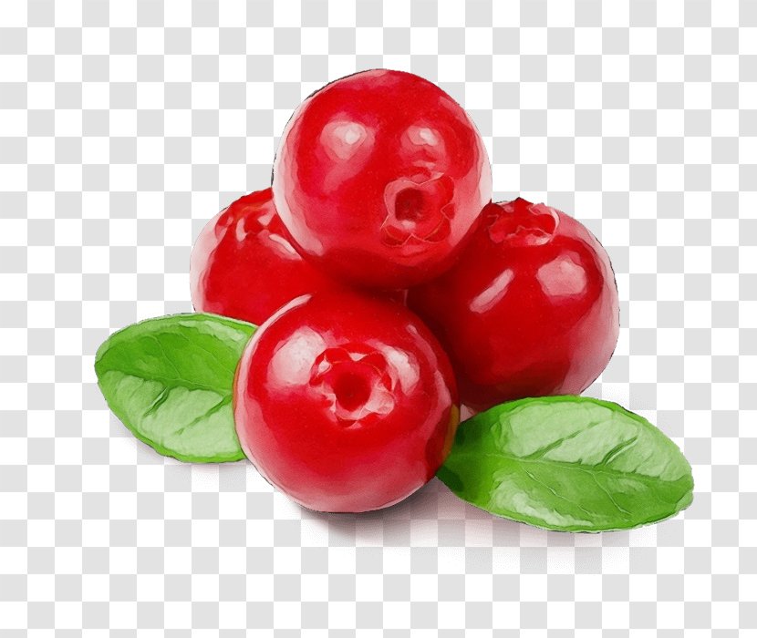 Cranberry Sauce Food Flavor Balsamic Vinegar - Jujube - Seedless Fruit Natural Foods Transparent PNG