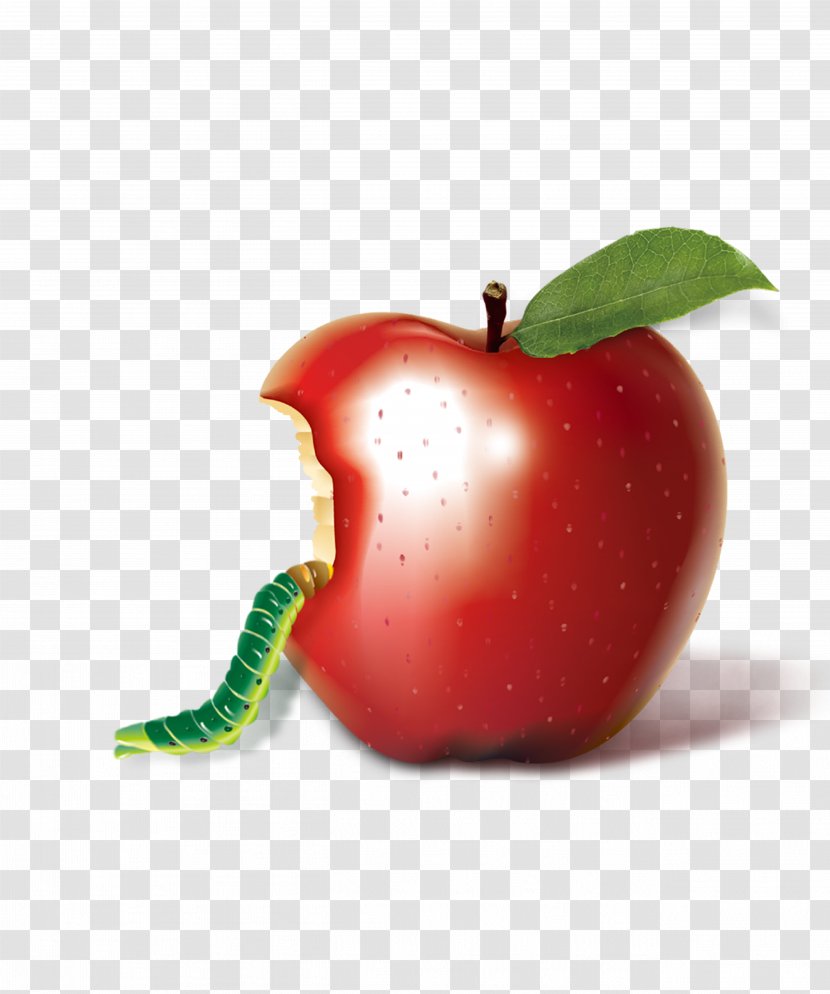 Apple - On The Caterpillar Transparent PNG