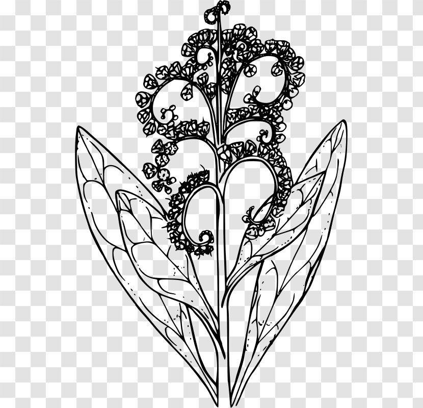 Floral Design Line Art Drawing Clip - Flower Transparent PNG