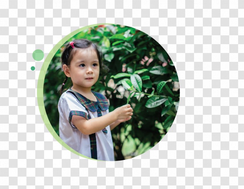 Serangoon Tampines Greenhouse Nursery School Toddler - Smile - Wild Roots Preschool And Child Care Transparent PNG