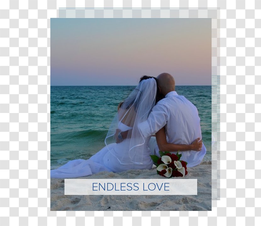 Gulf Shores Orange Beach Weddings Wedding Photography Transparent PNG