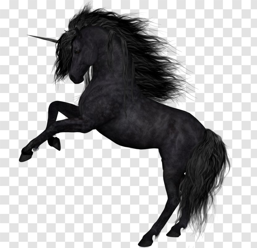 Horse Unicorn Photography Clip Art - Mustang Transparent PNG