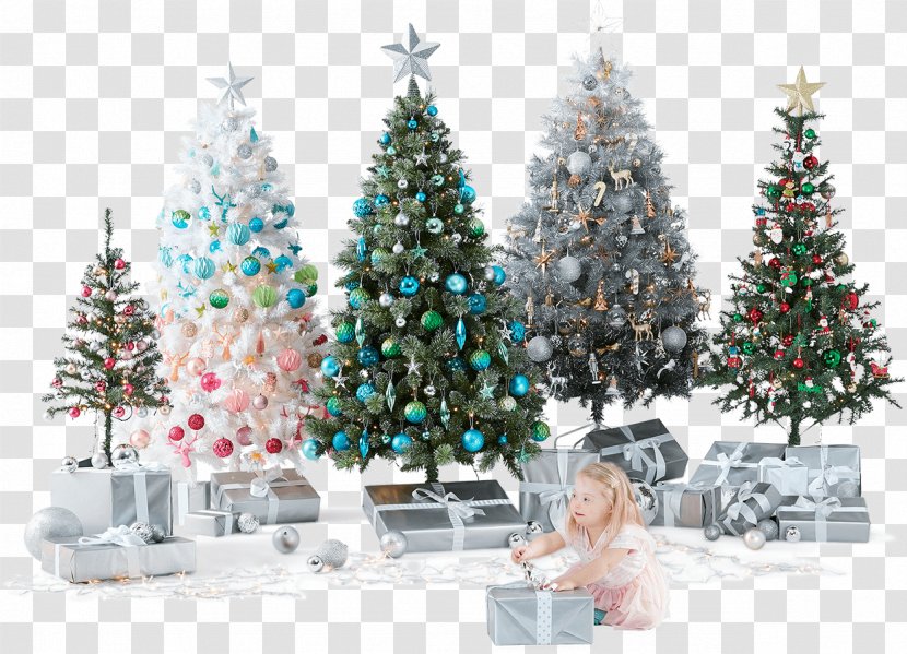 Christmas Tree Fir Decoration Spruce - Winter - Shopping Huan Transparent PNG