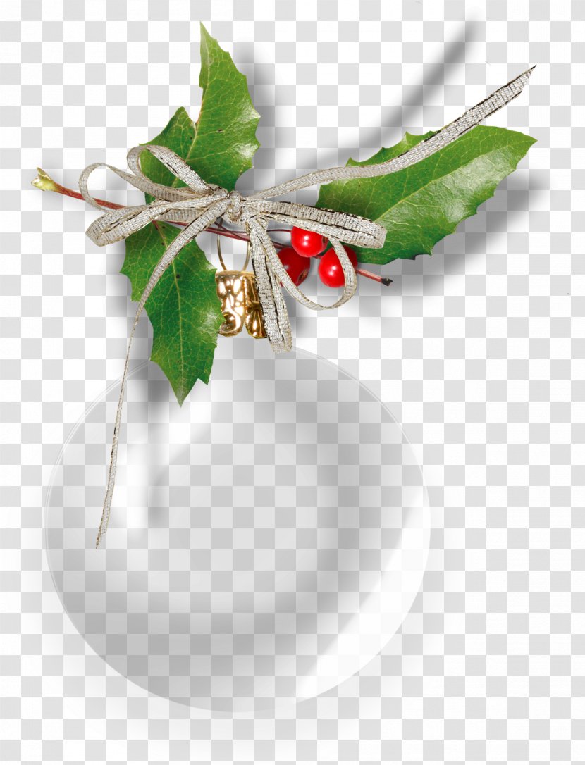 Clip Art Image Christmas Day Blog - Wilderness - Holly Background Transparent PNG