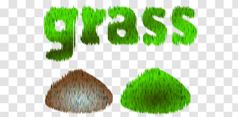 Clip Art - Ornamental Grass - Cartoon Effect Transparent PNG