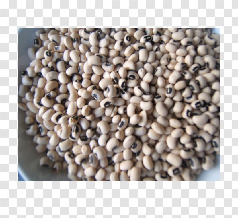 Africa Agriculture Seed Common Bean Black-eyed Pea Transparent PNG