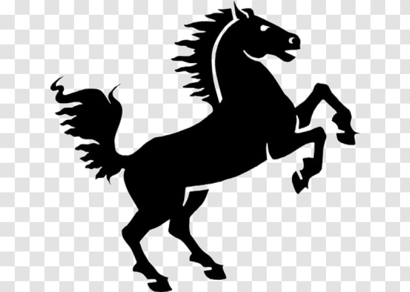 Sunrise Elementary School Kent Pooka Universal Houston Independent District Education - Stallion - Horse Like Mammal Transparent PNG