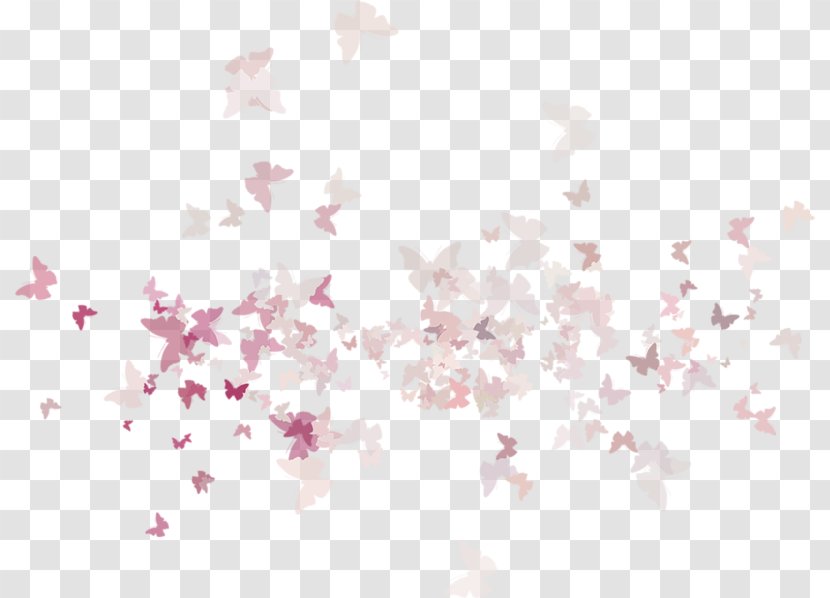 Cherry Blossom ST.AU.150 MIN.V.UNC.NR AD Pink M Petal - Sky - Blossoms Transparent PNG