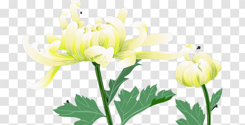 Floral Design Cut Flowers Chrysanthemum Yellow Plant Stem - Floristry Transparent PNG