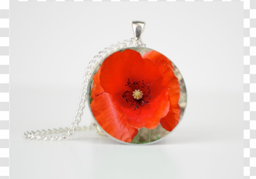 Common Poppy Flower Charms & Pendants Jewellery Transparent PNG