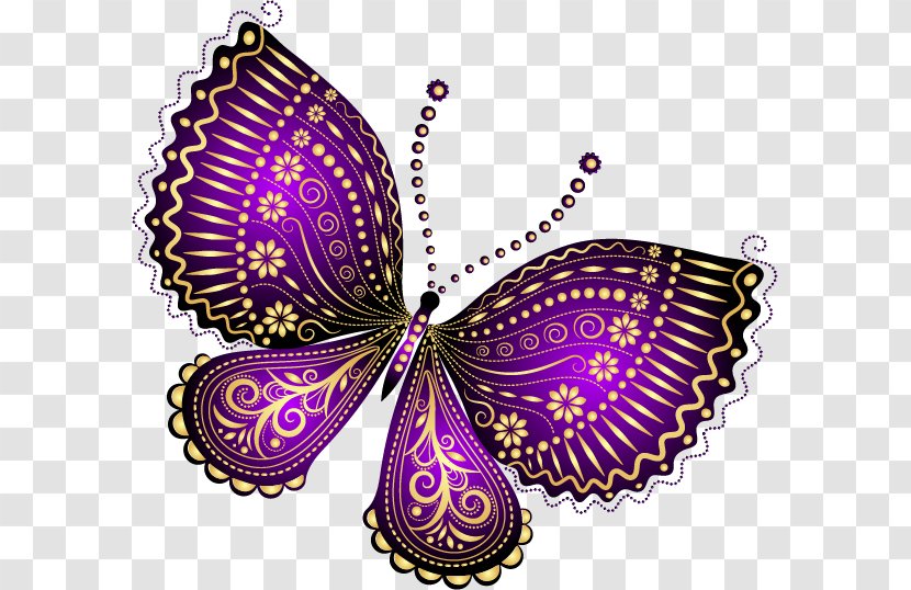 Painting Art Drawing Clip - Violet - Butterfly Circle Transparent PNG
