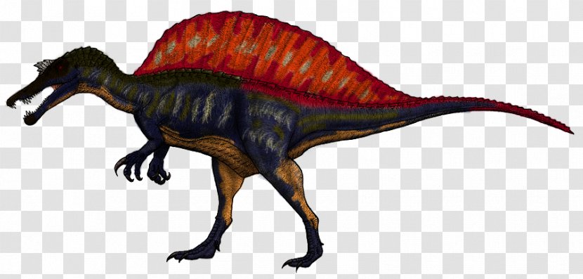 Spinosaurus Baryonyx Suchomimus Irritator Ichthyovenator - Dinosaur Transparent PNG
