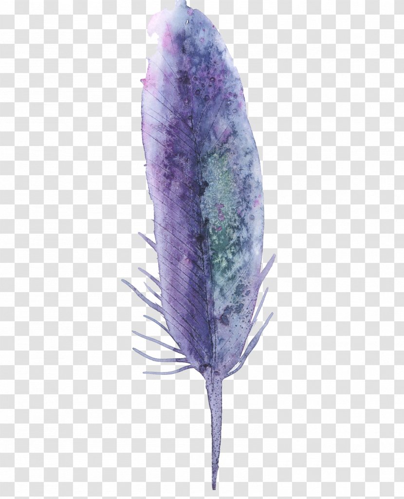 Purple Feather Watercolor Painting Transparent PNG