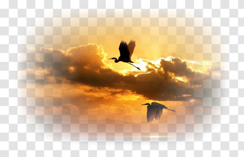 Rising Sun Pictures Desktop Wallpaper Royalty-free Clip Art - Sunrise - Japan Transparent PNG