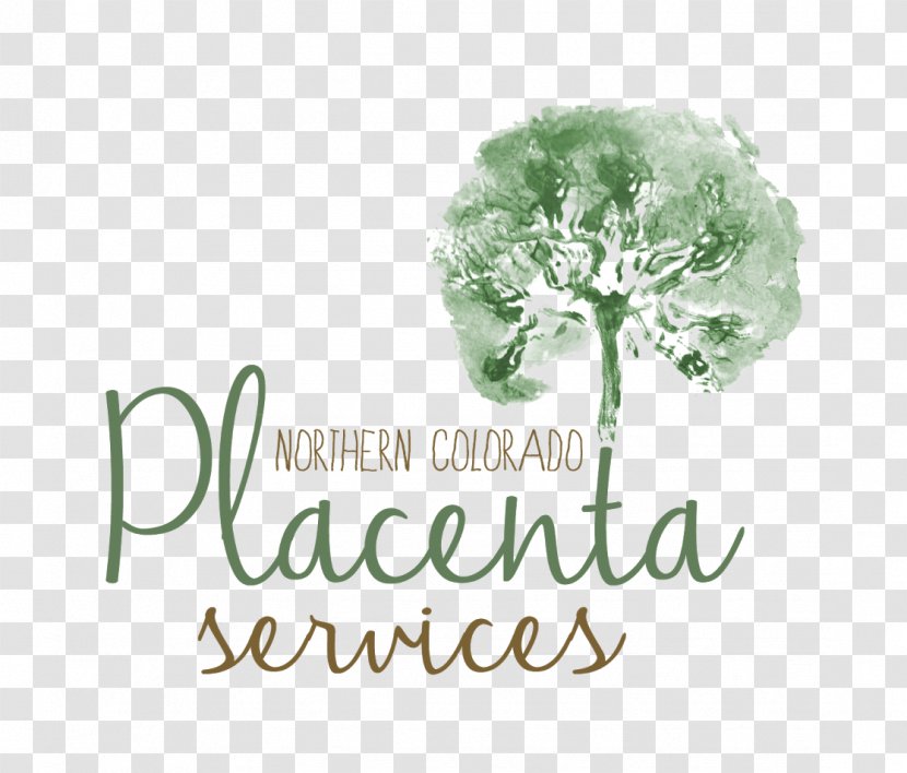 Logo Brand Font Tree - Young Living Vendor Booth Transparent PNG