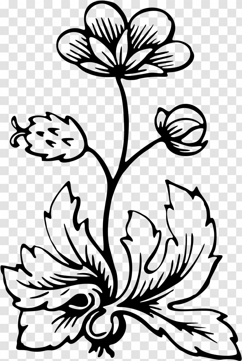 Flower Flora Clip Art - Chrysanths - Barbwire Transparent PNG