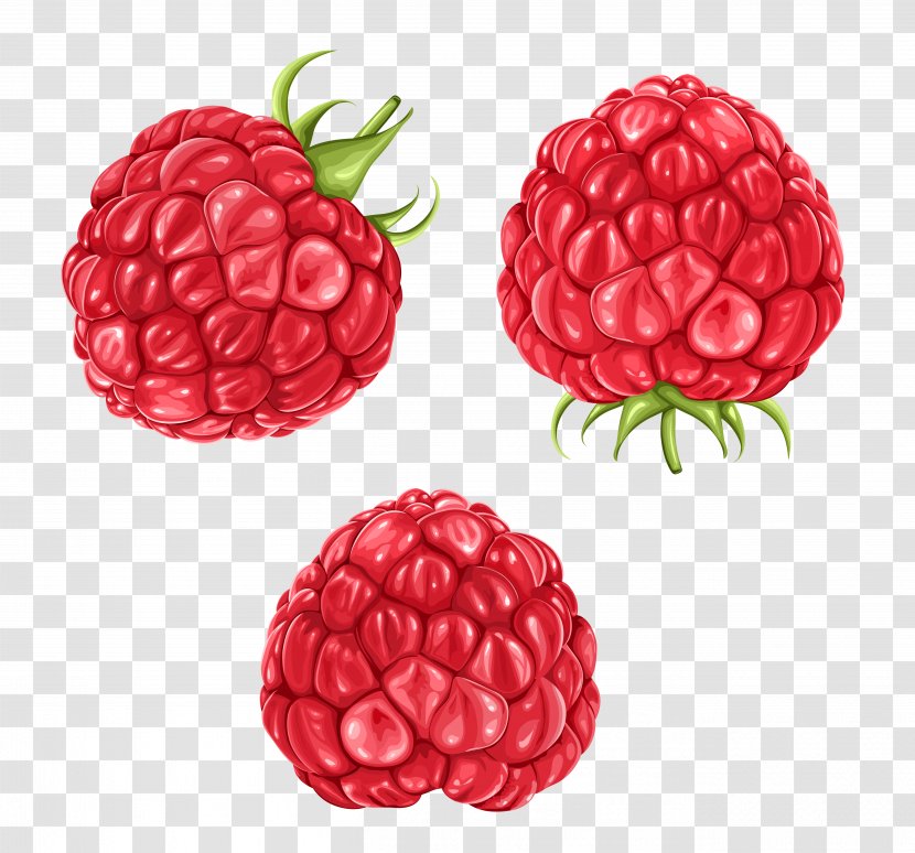 Raspberry Blackberry Fruit Clip Art - Frutti Di Bosco Transparent PNG