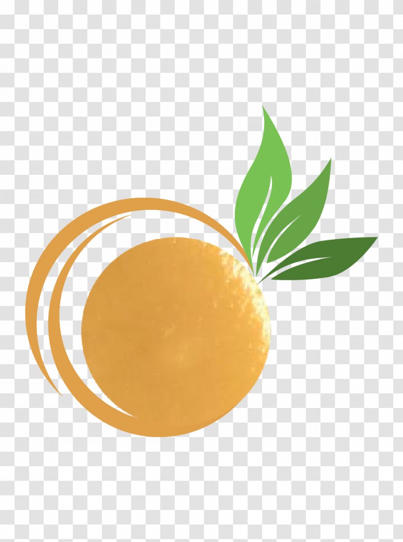 Orange S.A. - Food - Fruit Transparent PNG