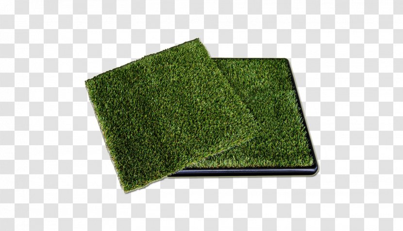 Angle - Green - Grass Transparent PNG