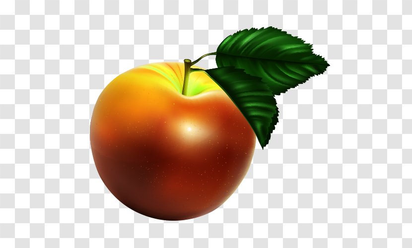 Apple Tomato - Cartoon Material Transparent PNG