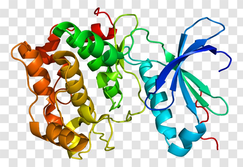 PRKCQ Protein Kinase C Gene - Watercolor - Trna Transparent PNG