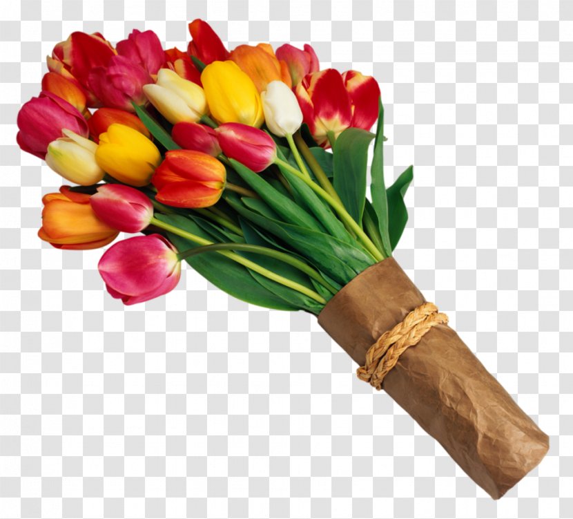 Flower Bouquet Tulip Clip Art - Vase - Hand-painted Carnations Transparent PNG