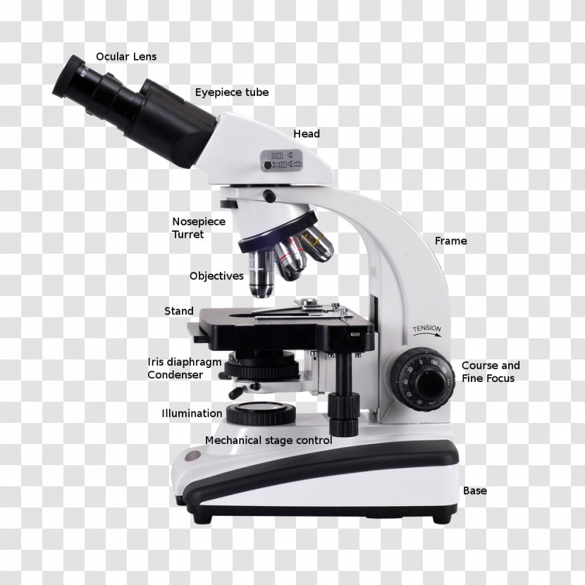 Optical Microscope Digital Scanning Electron - Eyepiece - Stereoscopic Transparent PNG