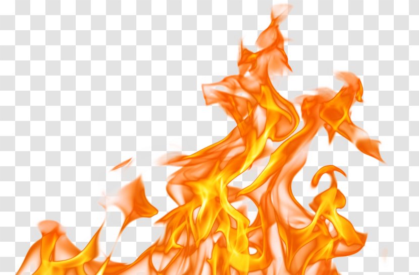 Stock Photography Flame Barbecue Fire Transparent PNG