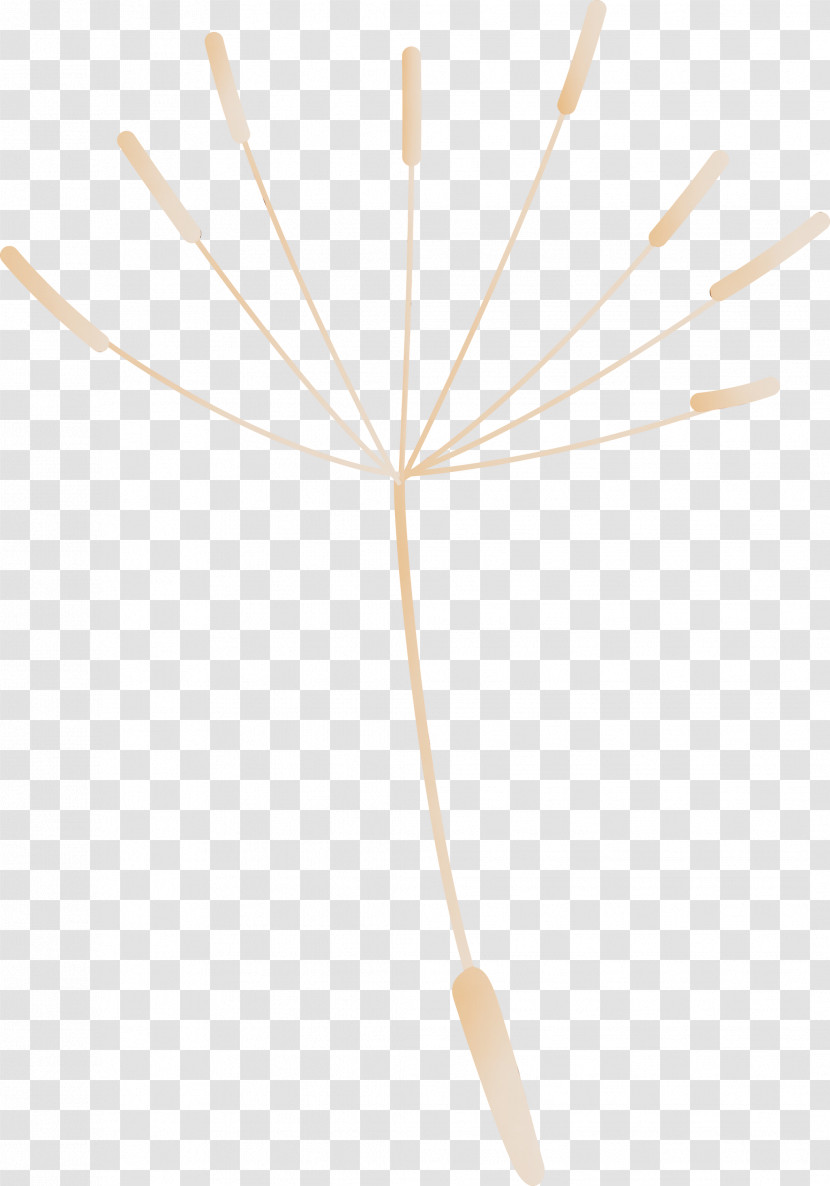 Angle Line Geometry Mathematics Transparent PNG