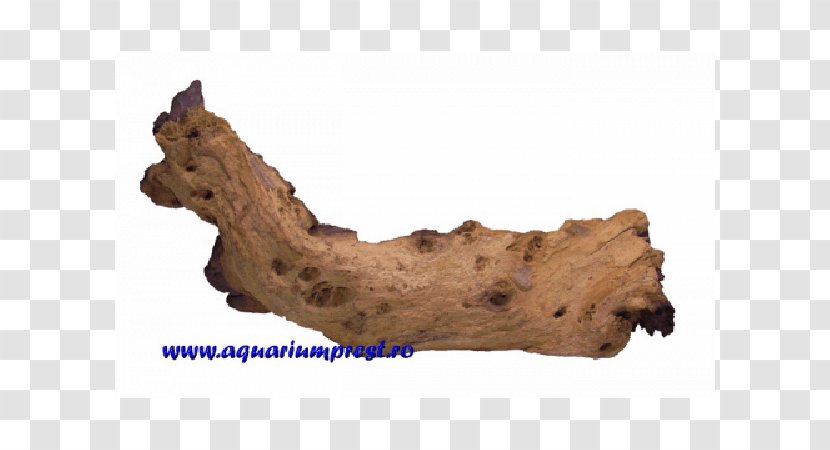 Driftwood Jaw - Wood - Decoration Transparent PNG