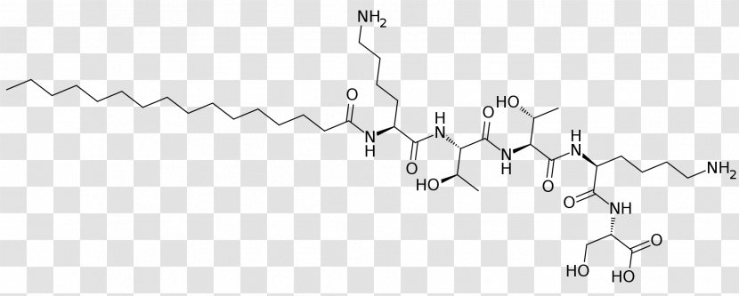 Palmitoyl Pentapeptide-4 Black And White Angle - Noodle - Acetyl Hexapeptide3 Transparent PNG