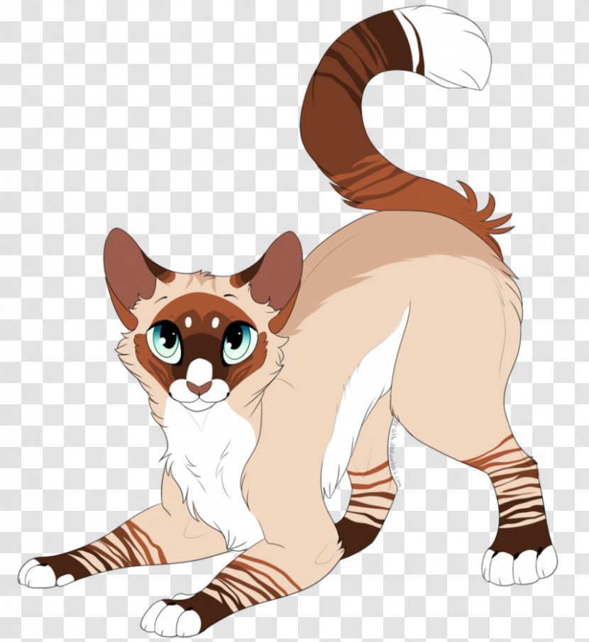 Whiskers Lynx Siamese Cat Point Coloration Havana Brown - Art Transparent PNG