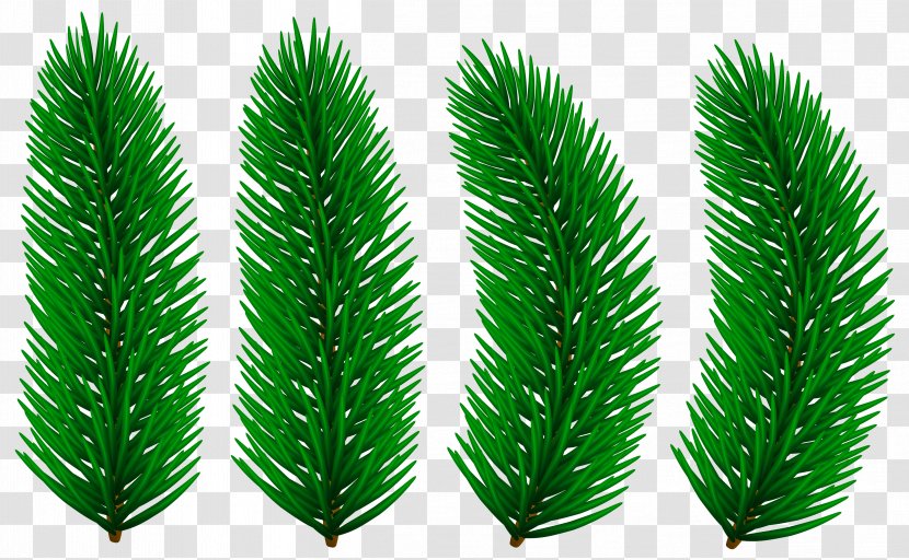 Silver Clip Art - Christmas - Pine Branches Buckle Free Transparent PNG
