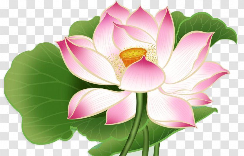 Shaanxi Nelumbo Nucifera Drawing Falun Gong - Floristry - China Wind Flower Transparent PNG
