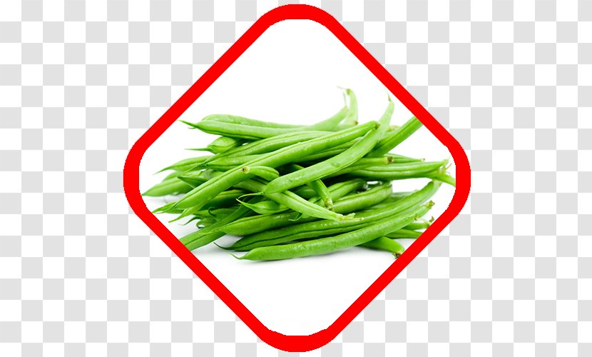Green Bean French Cuisine Vegetable Common - Scallion Transparent PNG