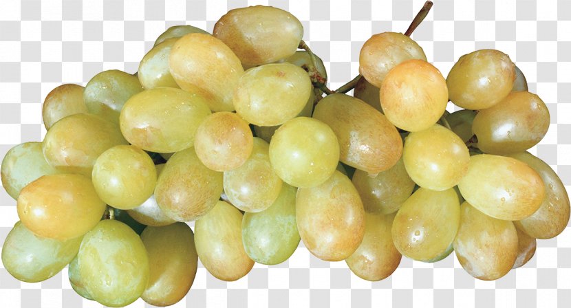 Wine Common Grape Vine Basilico Fruit - Grapevines Transparent PNG