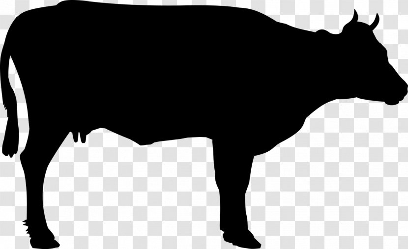 Beef Cattle Holstein Friesian Welsh Black White Park - Hyena Transparent PNG