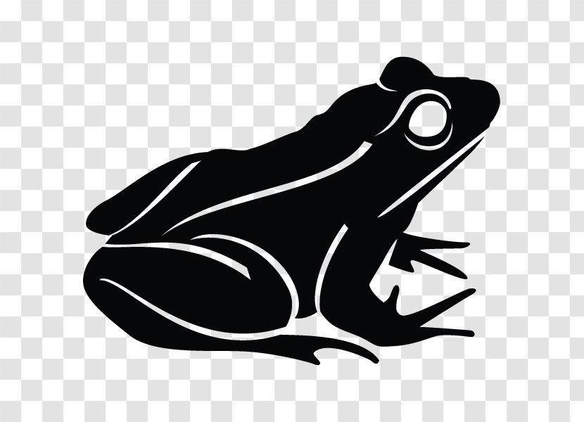 Frog Clip Art - Fauna Transparent PNG