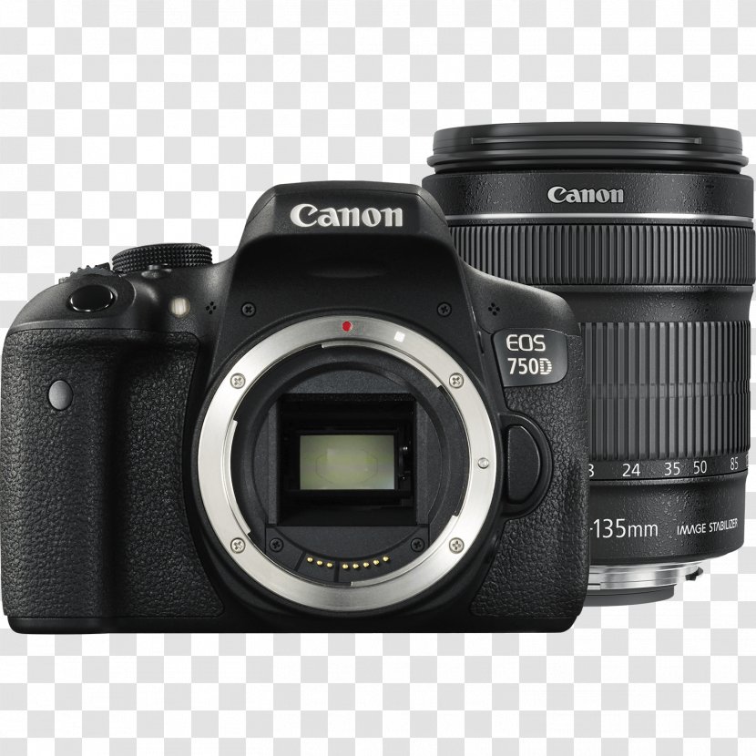 Canon EF Lens Mount EF-S 18–135mm 18–55mm 18-55mm F/3.5-5.6 IS STM - Camera Transparent PNG